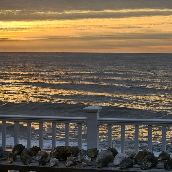 Meet your Posher, Claire - Picture 1 of 1